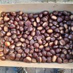 Verse kastanjes..3,50 eur/kg, Diversen, Levensmiddelen, Ophalen
