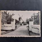 Oude postkaart Knokke zoute, Verzamelen, Postkaarten | België, Ophalen of Verzenden