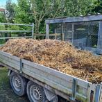 Gratis paardenmest, Ophalen of Verzenden