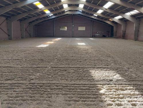 Pension chevaux, Dieren en Toebehoren, Stalling en Weidegang, 2 of 3 paarden of pony's