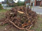 Gratis hout, Minder dan 3 m³, Ophalen, Overige houtsoorten, Stammen