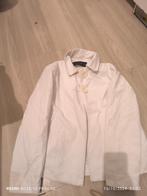 Petite veste, Vêtements | Femmes, Vestes | Été, ZARA, Enlèvement, Porté, Taille 38/40 (M)