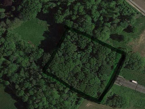 Bosgrond te koop – Hoge Buizemont Geraardsbergen (4.670 m²), Immo, Gronden en Bouwgronden, 1500 m² of meer, Verkoop zonder makelaar