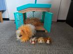 Little live pets cavia, Ophalen of Verzenden