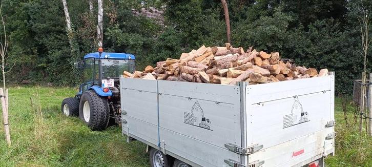 Droog brandhout abeel | zwarte els | den | kastanje, Tuin en Terras, Brandhout, Blokken, Ophalen