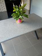 Granieten tuintafelblad, Tuin en Terras, Tuintafels, Ophalen, Zo goed als nieuw, Rechthoekig, Overige materialen