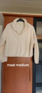 Nieuwe zachte trui, Kleding | Dames, Homewear, Ophalen of Verzenden, Zo goed als nieuw