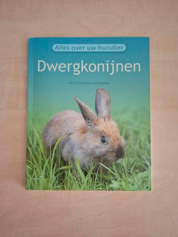 Dwergkonijnen - alles over uw huisdier beschikbaar voor biedingen