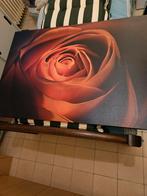 Schilderij met roos, Ophalen, Zo goed als nieuw, Schilderij