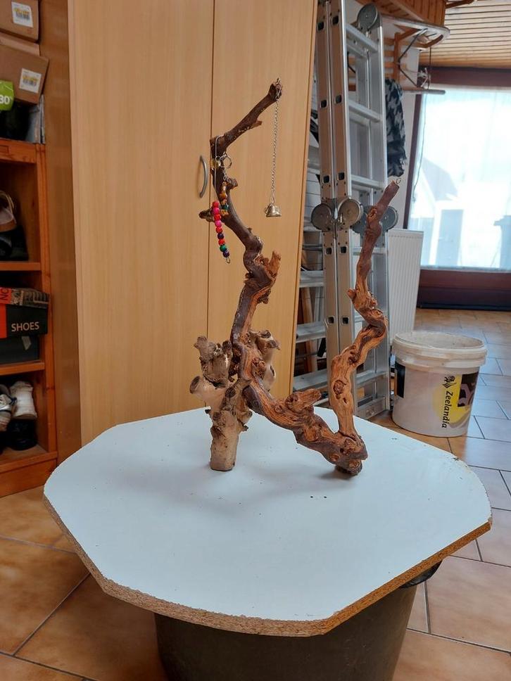 Papegaai, Dieren en Toebehoren, Vogels | Toebehoren, Zo goed als nieuw, Ophalen