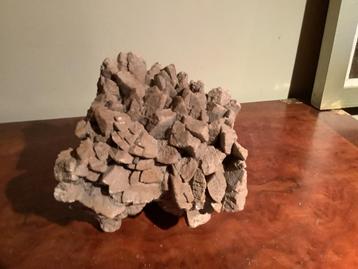 Woestijnroos beschikbaar voor biedingen