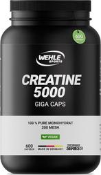 Creatin Sterk gedoseerde Workout Booster GRATIS LEVERING, Verzenden, Nieuw, Poeder of Drank