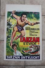 filmaffiche Tarzan Escapes Johnny Weissmuller filmposter, Verzamelen, Posters, Rechthoekig Staand, Ophalen of Verzenden, Zo goed als nieuw