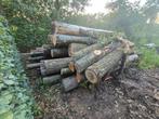 Brandhout op stam, Tuin en Terras, Brandhout, Ophalen