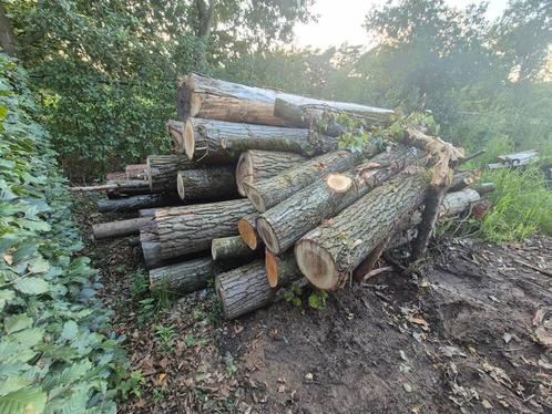Brandhout op stam, Tuin en Terras, Brandhout, Ophalen