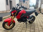 Honda msx 125 échange, Motos, Motos | Ducati, Particulier