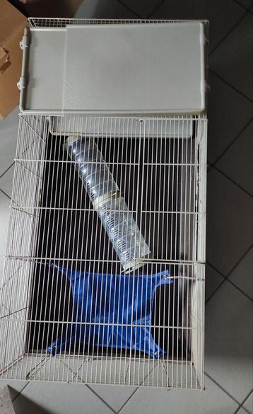 Dierenkooi  beschikbaar voor biedingen