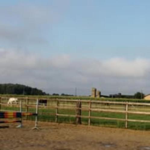 Kleinschalige stalling., Dieren en Toebehoren, Stalling en Weidegang, Stalling, Weidegang, 2 of 3 paarden of pony's