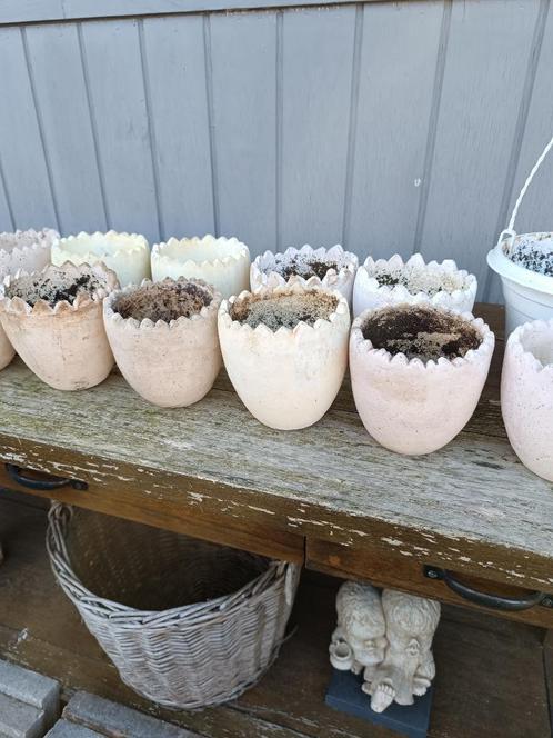 13 bloempotten in aardewerk, Tuin en Terras, Bloempotten, Zo goed als nieuw, Aardewerk, Minder dan 40 cm, Minder dan 25 cm, Ophalen