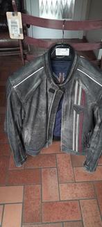 Veste moto Triumph, Motos, Vêtements | Vêtements de moto, Hommes, Triumph, Manteau | cuir, Seconde main