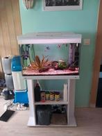 Compleet aquarium met haaien tropische vissen, Ophalen, Zo goed als nieuw