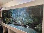 Zeer grote aquarium te koop, Dieren en Toebehoren, Ophalen of Verzenden, Zo goed als nieuw