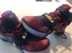 NIKEiD Lebron James mt.40, Sport en Fitness, Ophalen, Gebruikt, Schoenen