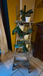 Vintage houten trapladder met 4 orchideeën, Huis en Inrichting, Ophalen, Gebruikt