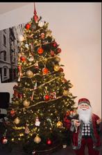 Kerstboom 500€, Ophalen of Verzenden