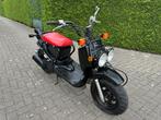 Honda zoomer b 50cc, Vélos & Vélomoteurs, Cyclomoteurs | Honda, Autres modèles, Classe B (45 km/h), Enlèvement, Utilisé