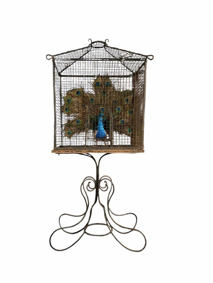 Sierlijke Antieke Vogelkooi op Voet, Antiek en Kunst, Antiek | Woonaccessoires, Ophalen