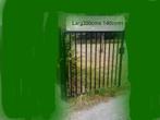 Portail/ grille de jardin noir laqué, Jardin & Terrasse, Comme neuf, Enlèvement, Fer, Porte du jardin