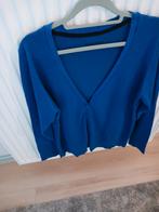 Blauwe trui merk E5 mode net als nieuw te koop.Maat L, Vêtements | Femmes, Pulls & Gilets, Enlèvement, Taille 42/44 (L)