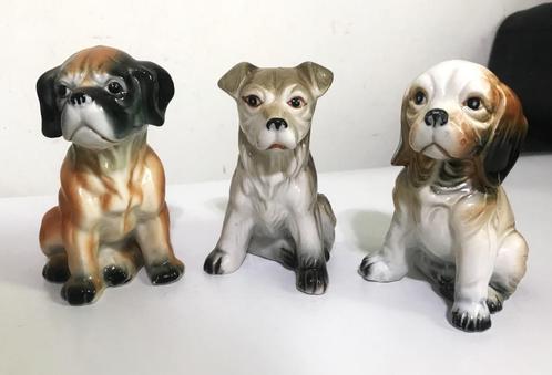 Hond Puppy King Charles Jack Russell Boxer Sculpturen😍🐶👌, Antiek en Kunst, Kunst | Beelden en Houtsnijwerken, Ophalen of Verzenden