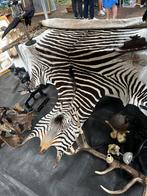 Zebra vel en meer, Antiek en Kunst, Ophalen of Verzenden