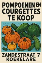 Pompoenen en courgettes, Ophalen