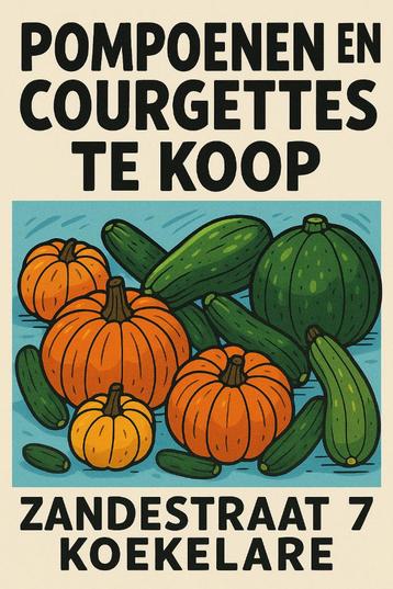 Pompoenen en courgettes  beschikbaar voor biedingen