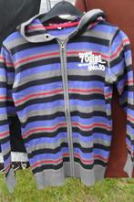 Licht gebreid jasje/truitje met rits en kap (K179), Enfants & Bébés, Vêtements enfant | Taille 152, Garçon, C&A, Enlèvement ou Envoi