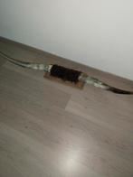 Bighorn hoornen, Ophalen of Verzenden