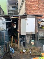 Konijnen over te nemen, Dieren en Toebehoren, Meerdere dieren, Groot, Hangoor, 0 tot 2 jaar