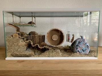 Hamsterkooi voor Hamsterscaping – Glas met Schuifruitdeuren beschikbaar voor biedingen