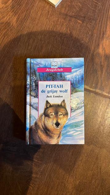 London - Pit-tah de grijze wolf beschikbaar voor biedingen
