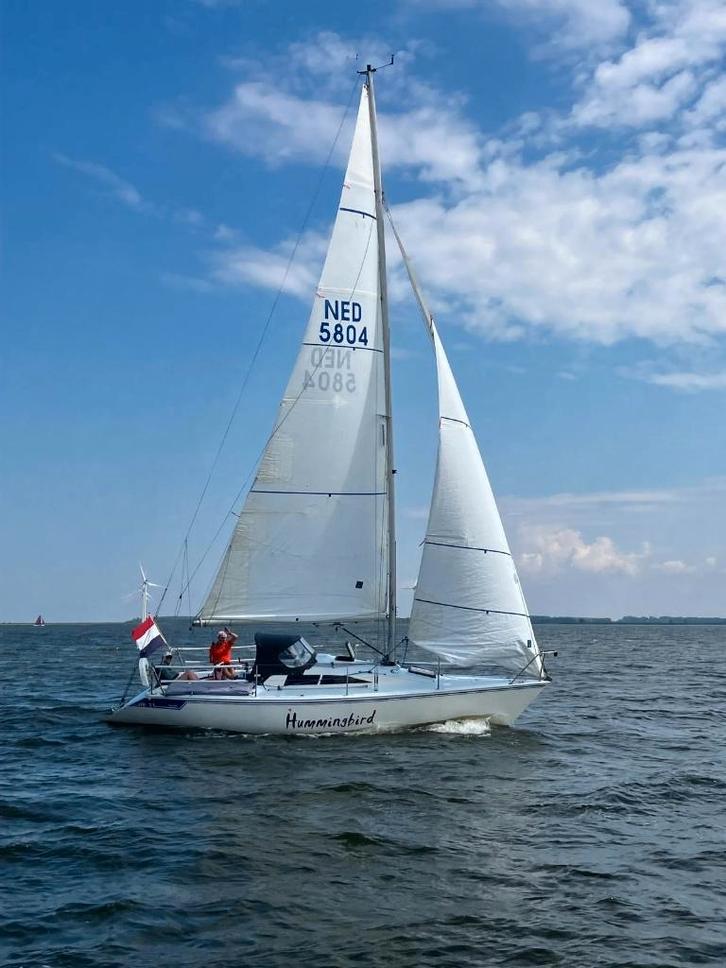 Zeewaardig zeiljacht Halftonner van der Stadt Hunter HB31, Watersport en Boten, Kajuitzeilboten en Zeiljachten, Gebruikt, Tour-wedstrijdjacht