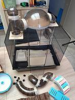 Hamsterkooi met accesoires, Dieren en Toebehoren, Kooi, Minder dan 75 cm, Hamster, Minder dan 60 cm
