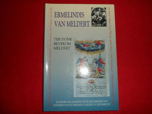 Ermelindis van Meldert, Boeken, Geschiedenis | Stad en Regio, Zo goed als nieuw, Ophalen of Verzenden