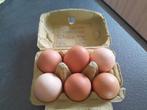 Œufs frais, Animaux & Accessoires, Enlèvement, Comme neuf