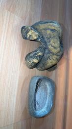 Terrarium accessoires, Dieren en Toebehoren, Ophalen, Gebruikt