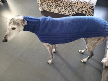 Pull fait main pour chien beschikbaar voor biedingen