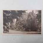 Oude postkaart van Halle: Albertpark, Ophalen of Verzenden