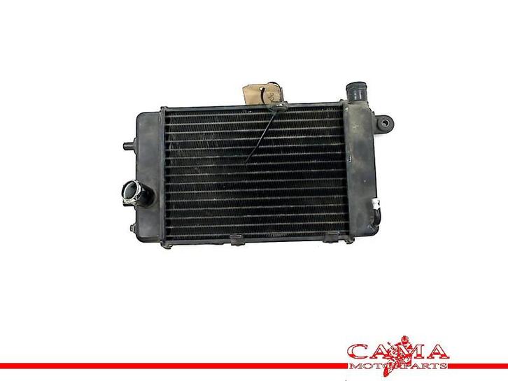 RADIATEUR Aprilia Tuono RSV 1000 (+ Factory), Motoren, Onderdelen | Overige, Gebruikt